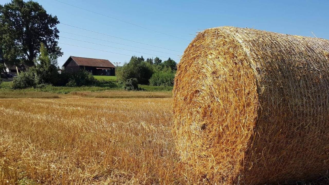 Folwark Tumiany Pokoje & Restauracja Bagian luar foto